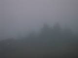 20 : 38