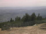 16 : 29