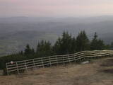 19 : 21