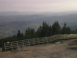 19 : 29