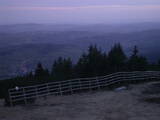 20 : 49