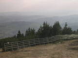 18 : 25