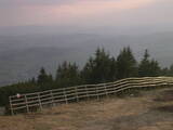 19 : 21