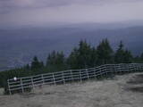 20 : 29