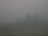 06 : 29