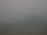 07 : 33