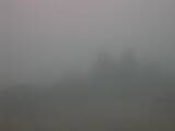 08 : 41