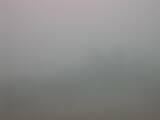 12 : 21
