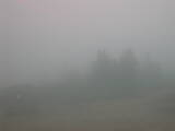 12 : 49