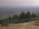 17 : 17