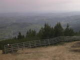 17 : 25