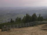 17 : 29