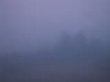 05 : 29
