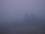 05 : 33