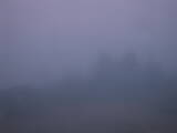 05 : 41