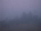 05 : 49