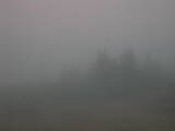 08 : 29