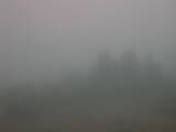 08 : 49