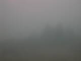 09 : 33