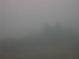 09 : 37