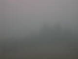 09 : 45