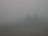 13 : 33