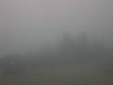 13 : 37