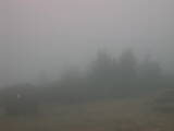 13 : 49