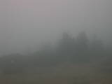 13 : 53