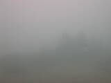 14 : 33