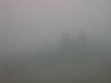 14 : 41