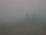 15 : 29