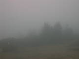 15 : 49