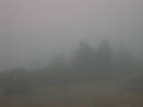 16 : 53