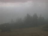 17 : 17