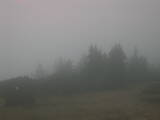 17 : 21