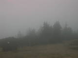 17 : 25