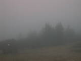 18 : 41