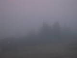 19 : 17