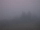 19 : 21