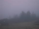 19 : 25