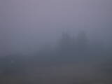 19 : 29