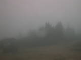 19 : 41