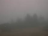 19 : 49