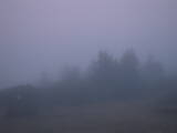 20 : 13