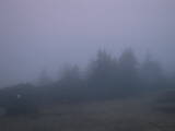 20 : 17