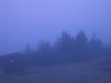 04 : 41