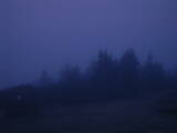 04 : 49