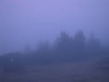 05 : 09