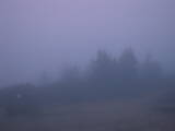05 : 17